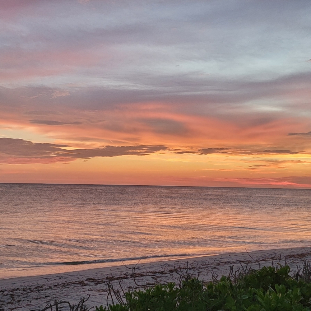 Meet your Posher, ella